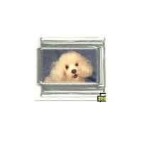 Dog charm - Poodle 1 - 9mm Italian charm