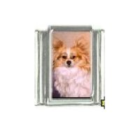 Dog charm - Papillion 3 - 9mm Italian charm