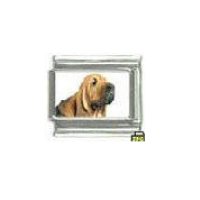 Dog charm - Bloodhound 1 - 9mm Italian charm