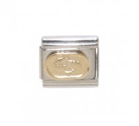 Pisces Gold Oval (b)enamel charm (20/2-20/3) 9mm Italian charm
