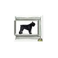 Dog charm - Bolivier Des Flandres 2 - 9mm Italian charm