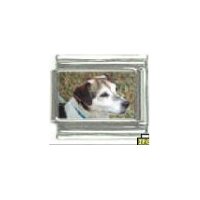 Dog charm - Jack Russell 1 - 9mm Italian charm