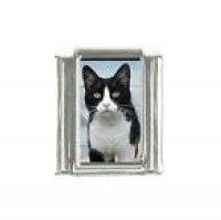 Cat - Black and white cat (f) photo 9mm Italian charm