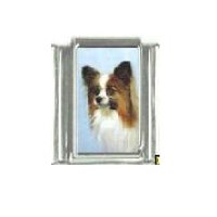 Dog charm - Papillion 4 - 9mm Italian charm