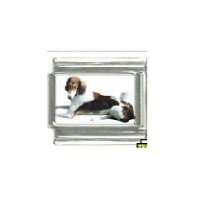 Dog charm - Saluki 1 - 9mm Italian charm