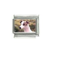 Dog charm - Whippet 4 - 9mm Italian Charm