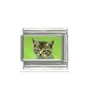 Cat - tabby cat (e) photo 9mm Italian charm