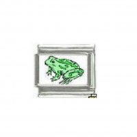 Frog (d) - photo 9mm Italian charm