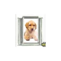 Dog charm - Labrador 5 golden - 9mm Italian charm