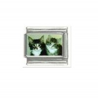 Cat - 2 tabby kittens photo 9mm Italian charm