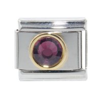 February Birthstone - Amethyst - Gold outline circle charm