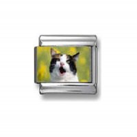 Black and white cat yawning - photo 9mm Italian charm