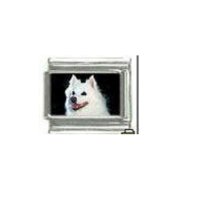 Dog charm - American Eskimo 2 - 9mm Italian charm