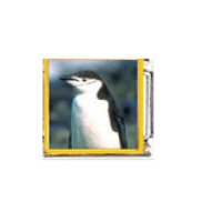 Penguin (x) - enamel 9mm Italian charm
