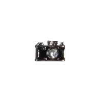 Camera with Stone 8mm Floating charm