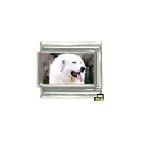 Dog charm - Pyrenees Mountain Dog 1 - 9mm Italian charm