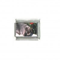 Lop eared rabbit (b) - Photo 9mm Italian charm