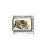 Kitten sleeping - cute photo 9mm Italian charm