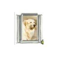 Dog charm - Pyrenees Mountain Dog 4 - 9mm Italian charm