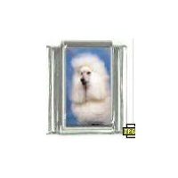 Dog charm - Poodle 3 - 9mm Italian charm