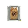 Dog charm - Pomeranian 5 - 9mm Italian charm