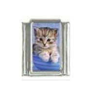 Kitten - cute photo 9mm Italian charm