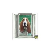 Dog charm - Basset hound 5 - 9mm Italian charm