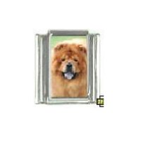 Dog charm - Chow Chow 5 - 9mm Italian charm