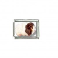 Guinea pig (e) photo charm - 9mm Italian charm