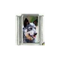 Dog charm - Australian Cattle dog 3 - 9mm Italian charm