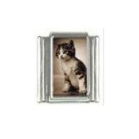 Cat - Tabby and white kitten 9mm photo Italian charm