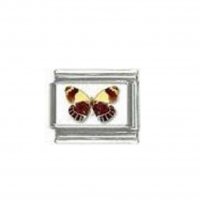 Butterfly photo a43 - 9mm Italian charm