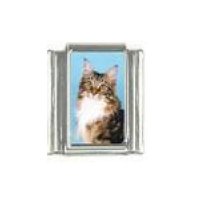 Cat - fluffy tabby cat photo 9mm Italian charm