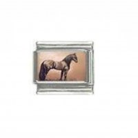 Horse (n) - photo 9mm Italian charm
