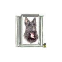 Dog charm - Scottish Terrier 3 - 9mm Italian charm