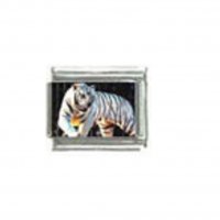 White tiger (h) photo - 9mm Italian charm