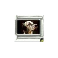 Dog charm - English Setter 2 - 9mm Italian charm