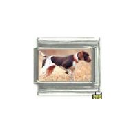 Dog charm - Pointer 1 - 9mm Italian charm