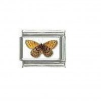 Butterfly photo a106 - 9mm Italian charm