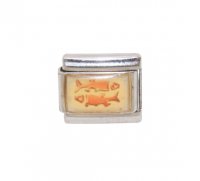 Pisces photo charm (20/2-20/3) 9mm Italian charm
