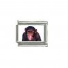 Chimpanzee - photo 9mm Italian charm