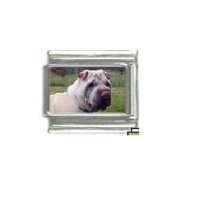 Dog charm - Shar Pei 2 - 9mm Italian charm