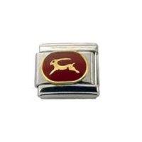 Capricorn red oval enamel charm (22/12-20/1) Italian charm