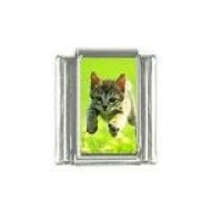 Cat - Kitten running photo 9mm Italian charm