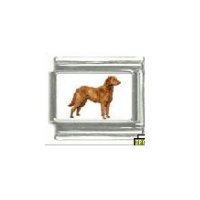 Dog charm - Chesapeake Bay Retriever 4 - 9mm Italian charm