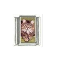 Cat - tabby cat (i) photo 9mm Italian charm