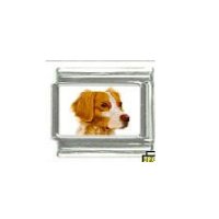 Dog charm - Brittany dog 1 - 9mm Italian charm