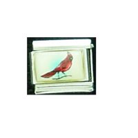 Cardinal bird (b) - photo 9mm Italian charm