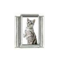 Cat - Grey cat standing photo 9mm Italian charm