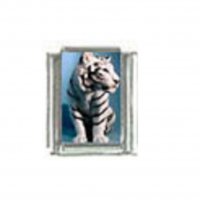 White tiger (l) photo - 9mm Italian charm